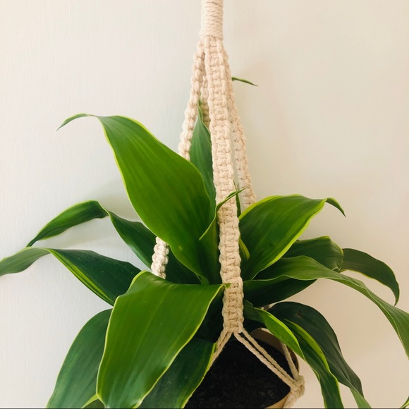 🎉Host Pick🎉 Macrame Plant Hanger - Picture 3 of 5